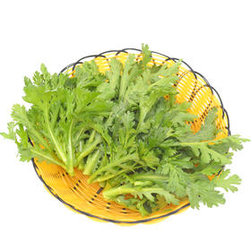 东升农场 有机春菊苗 菊花菜 蓬蒿 广州供港蔬菜新鲜250g