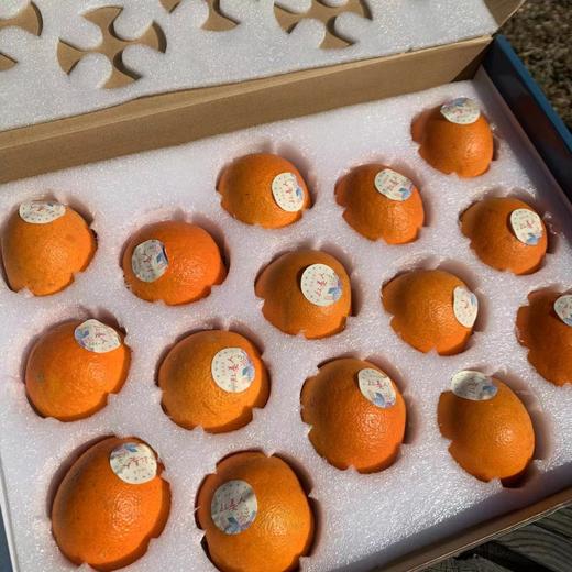 【象山红美人】4.5-5斤/礼盒/12枚大果，浓纯香甜正宗口感 商品图6