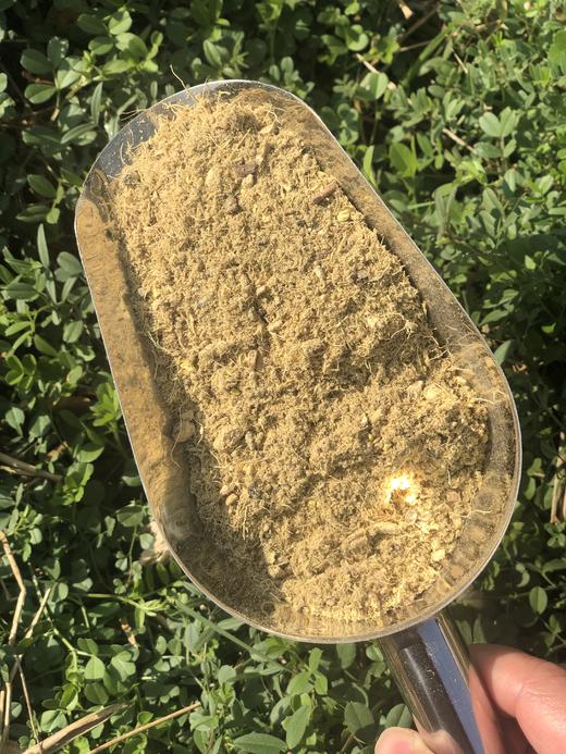 温胆除秽泡脚包 商品图3