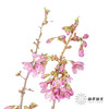 配花 | 樱花粉色 商品缩略图2