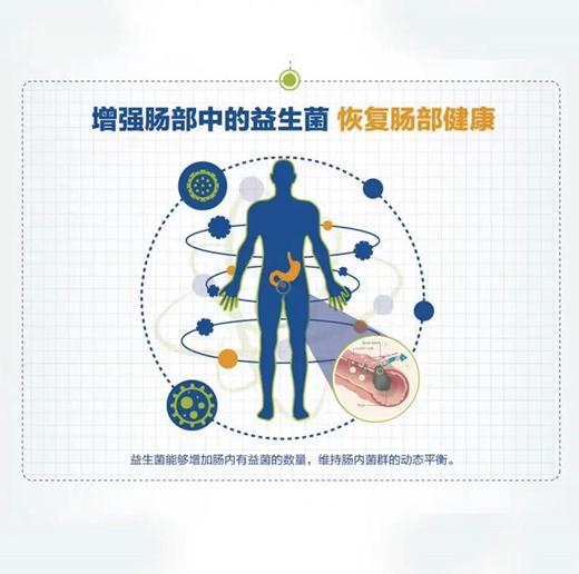 奥适宝ORTHOMOL德国原装进口 益生菌益生元活性 肠胃肠道免疫 复合维生素 冲剂胶囊 30天装 商品图4
