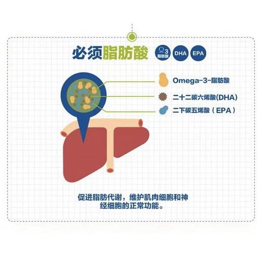 奥适宝ORTHOMOL德国原装进口 男士复合维生素 叶黄素锌硒鱼油番茄红素 口服液30天 商品图2