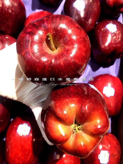 美洲进口红蛇苹果（面苹果） 商品图2