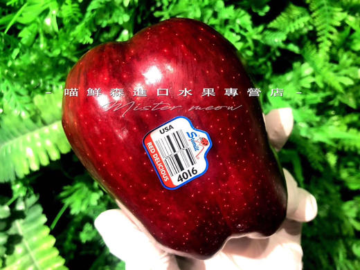 美洲进口红蛇苹果（面苹果） 商品图4