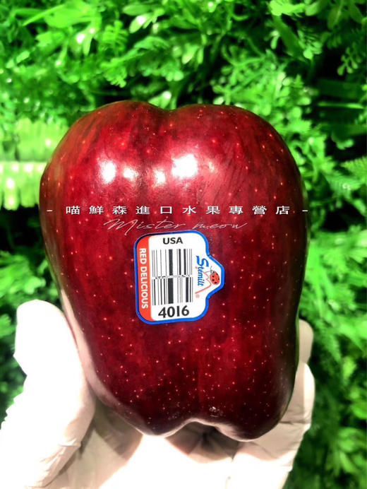 美洲进口红蛇苹果（面苹果） 商品图3