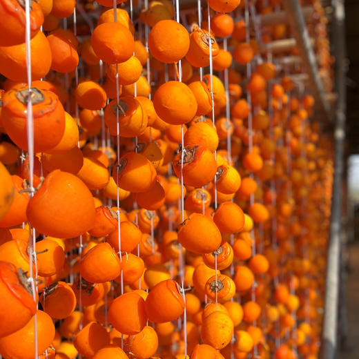 物本源微霜流心柿饼 2斤装 商品图4