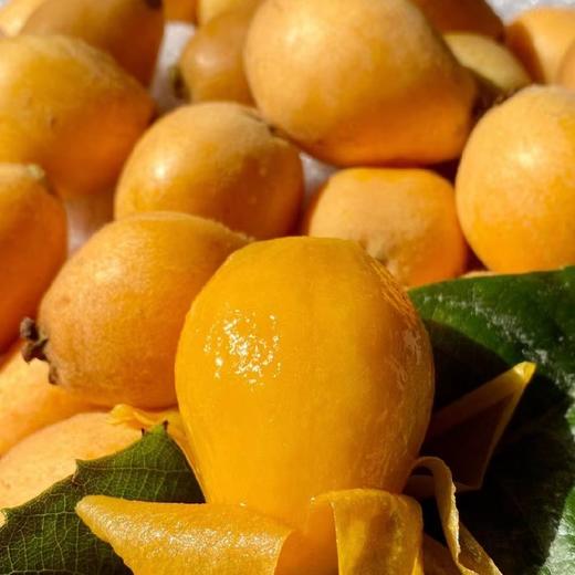 云南蒙自长虹枇杷 精品果3斤装 商品图7