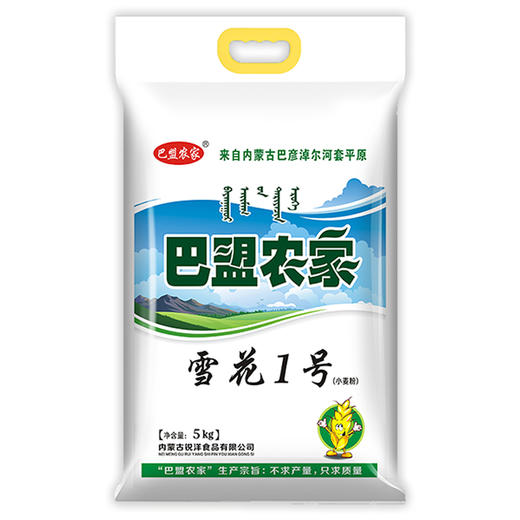 【面粉劲道有嚼劲】产地直发 | 内蒙巴盟农家面粉/高筋小麦面粉 天然不添加 河套平原雪花粉 馒头面点 厨房食材 5kg 商品图4
