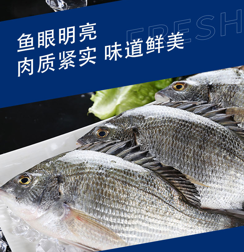 本港冰鲜黑翅鱼(杀好)/1份(2-4条,共400-500g)