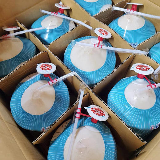 易开型都乐泰国进口青椰椰子椰汁