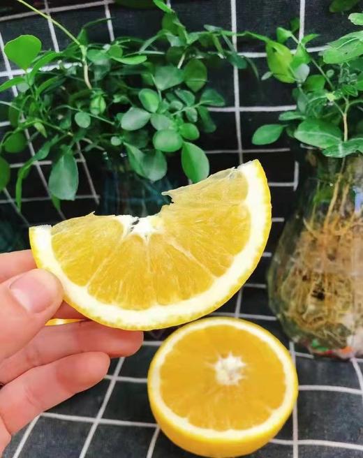 木瓜蜜丁一箱（拼团） 商品图2