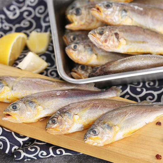 【农场发货】张小渔东海野生海捕小黄花鱼1000g/袋 商品图0