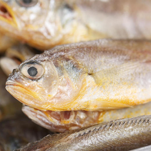 【农场发货】张小渔东海野生海捕小黄花鱼1000g/袋 商品图1