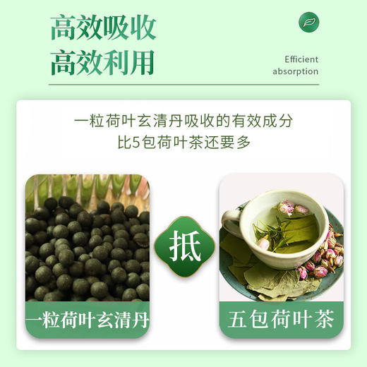 【荷叶玄清丹】甄选荷叶、茯苓等多种中药，科学配比，密制成丸，高吸收率严选原料油脂“清道夫”，清肠排宿便 商品图3