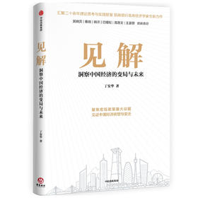 见解 丁安华著 吴晓灵 秦晓 姚洋 巴曙松 高善文 王晏蓉 联袂推荐 聚焦宏观政策重大议题 见证中国经济转型与变迁