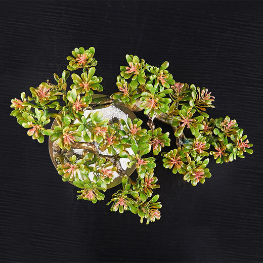 朱府铜艺《玉兰花开》大师亲制意铜家居高端纯铜摆件工艺品盆景 商品图3