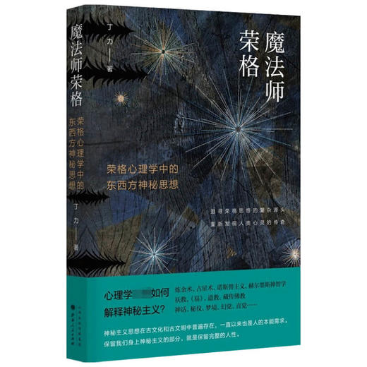 魔法师荣格 荣格心理学中的东西方神秘思想 丁力著 揭示东西方文明共通的心理基础 重新发现人类心灵的传奇与奥秘 商品图1