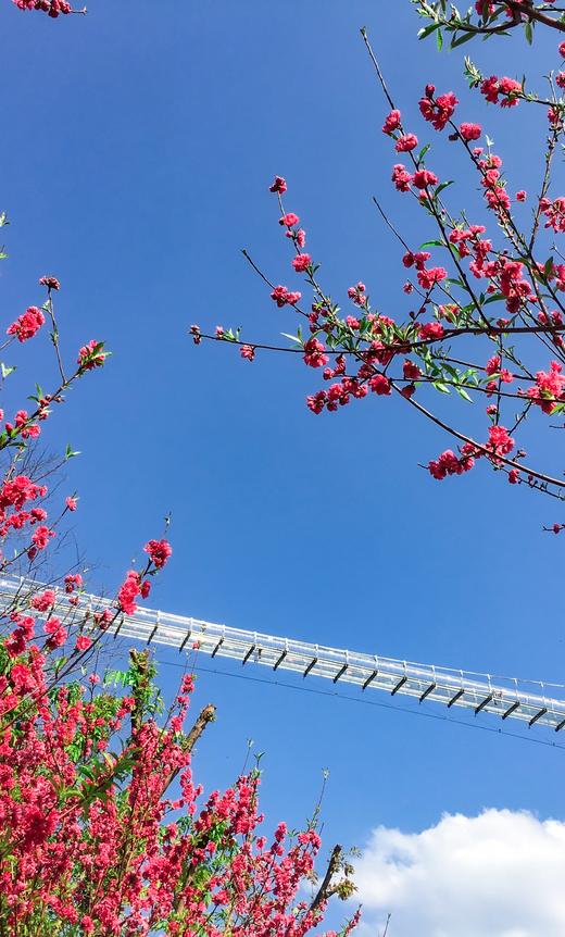 畅游套票 | 宝晶宫溶洞+天宫玻璃桥+天鹅湖游船+丛林飞车（或天鹅湖飞索）+卡丁车+丛林穿越【当天票】 商品图4