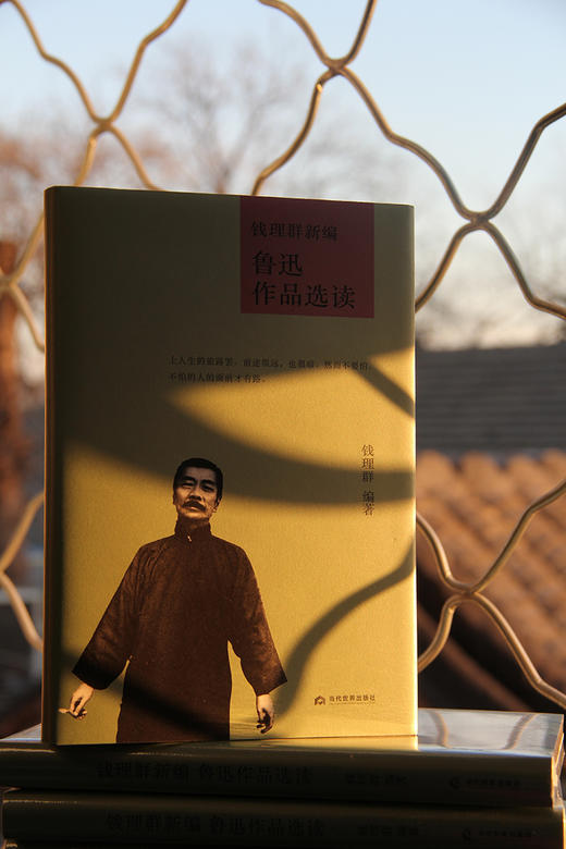 《钱理群讲鲁迅》《钱理群新编 鲁迅作品选读》北大教授钱理群新作再现鲁迅经典作品深刻解读 商品图8