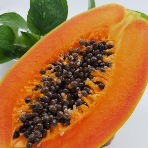 树熟海南红心牛奶木瓜 5斤礼盒装 商品图5