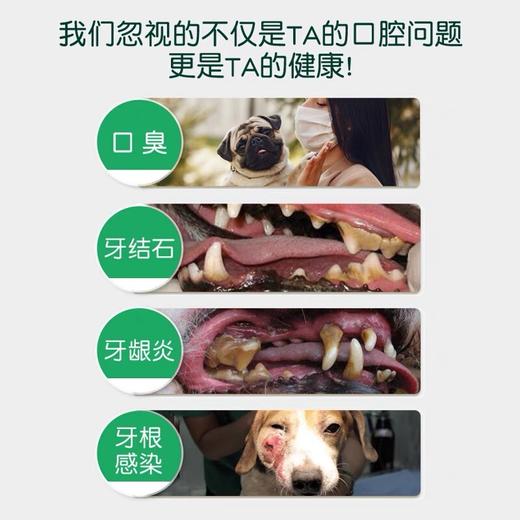 狗狗洁牙水 多美洁Tropiclean 预防口臭 保护 牙龈 商品图4