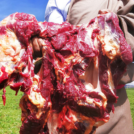 【有机牦牛】 有机牦牛肉牛腿 牛腩肋排里脊牛尾巴牛腱子  现杀 商品图6