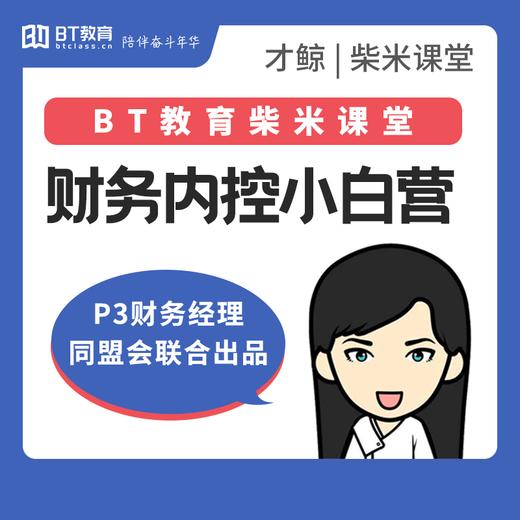 财务内控审计小白营 商品图0