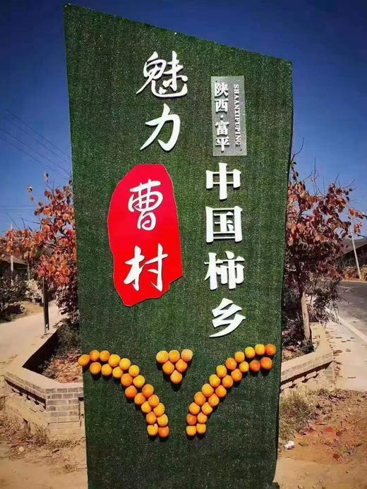 3斤装陕西富平曹村特产柿饼 商品图1