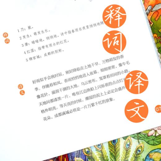 当诗词遇见科学（全20册）赠 21天打卡海报+ 音频 5岁+ 60首诗词400余全彩gao清插图120个诗词里的科学知识 商品图2
