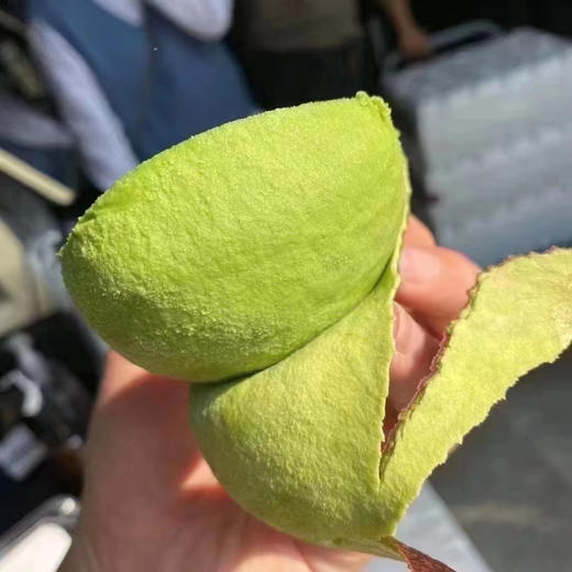 云南 即食牛油果🥑一盒3个 商品图6
