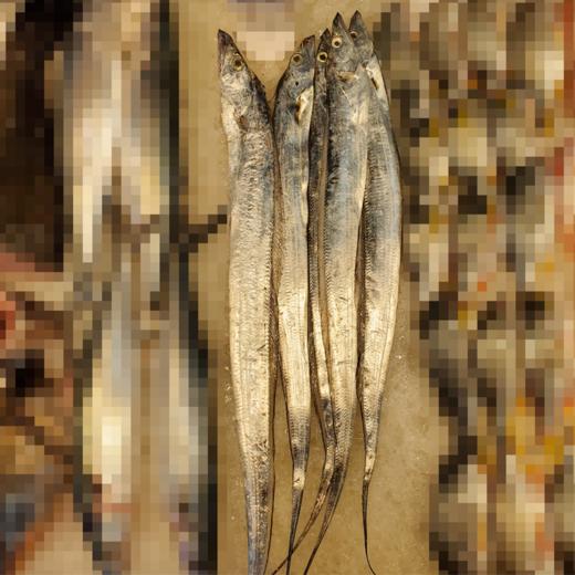 冰鲜带鱼 /条 商品图1