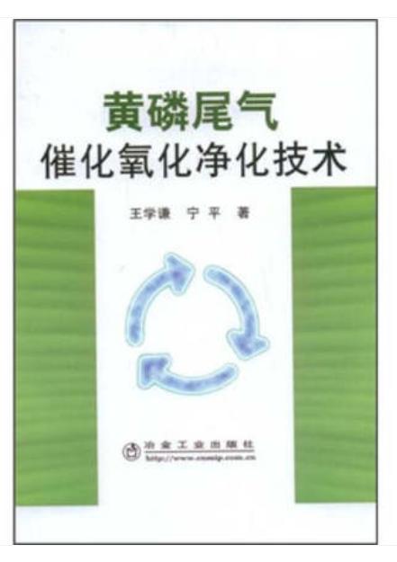 黄磷尾气催化氧化净化技术/王学谦,宁平 商品图0