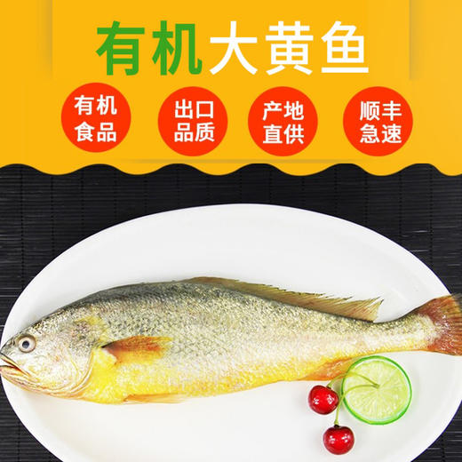 有机大黄鱼礼盒装 商品图0