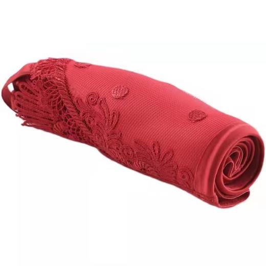 安莉芳蕾丝薄款五角杯防走光无钢圈抹胸式文胸EB00431 商品图3