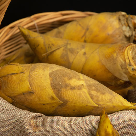 素中鲜食临安新鲜小冬笋皮薄易剥脆嫩甘甜清香松脆好山好水出好笋