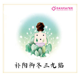 补阳御冬三九贴