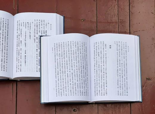 预售：《顾炎武全集》，精装，全20册，华东师范大学古籍所整理，上海古籍出版社出版，定价1980，售价988元。九成品相。 商品图9