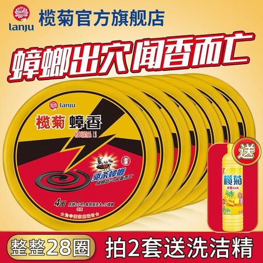 榄菊蟑香4盘盒送蚊香座盘香杀蟑香灭杀蟑螂安全有效高效灭蟑