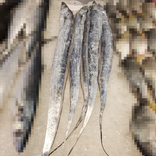 冰鲜带鱼 /条 商品图2