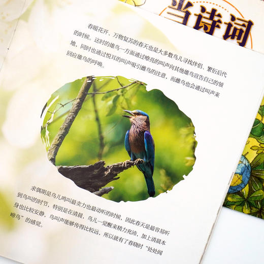 当诗词遇见科学（全20册）赠 21天打卡海报+ 音频 5岁+ 60首诗词400余全彩gao清插图120个诗词里的科学知识 商品图5