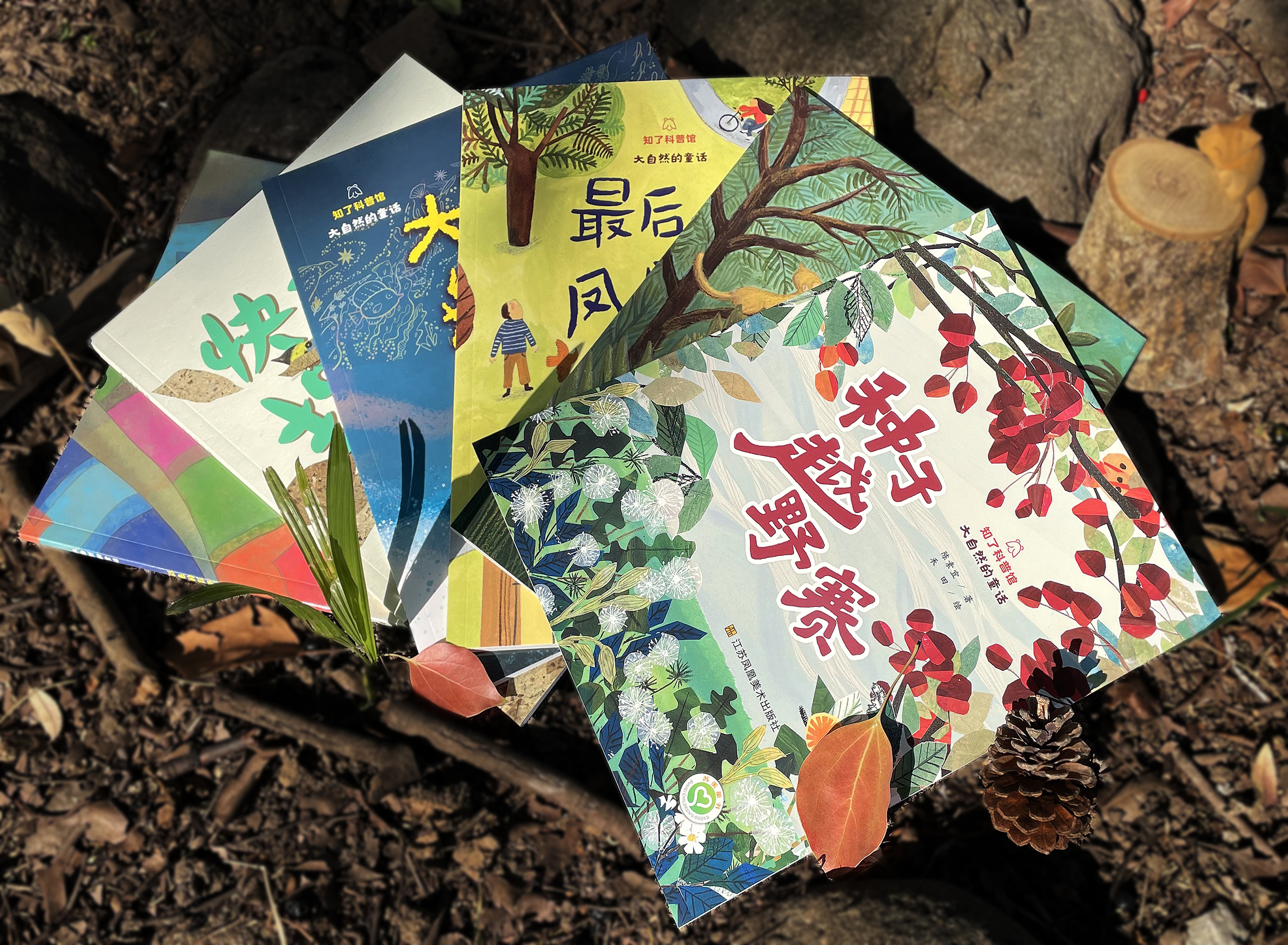 大自然的童话 （全6册）