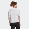 1折秒杀（C）adidas/阿迪达斯 女装夏季运动型格圆领短袖T恤 DX2489  非质量问题 不退不换 商品缩略图1