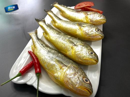 有机大黄鱼礼盒装 商品图3