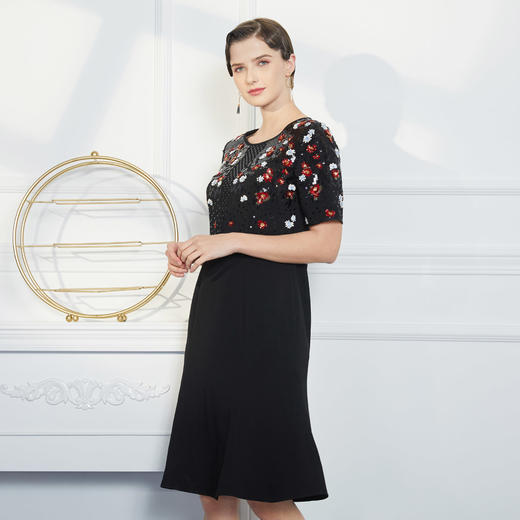 QF83A斯尔丽瑟俪春秋季新品时尚女人绣花连衣裙 商品图1