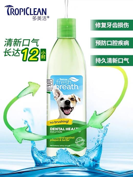 狗狗洁牙水 多美洁Tropiclean 预防口臭 保护 牙龈 商品图1