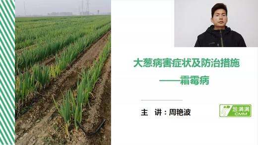 大葱病害防治——霜霉病 商品图0