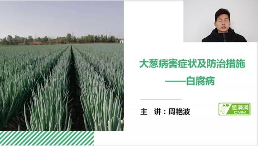 大葱病害防治——白腐病 商品图0