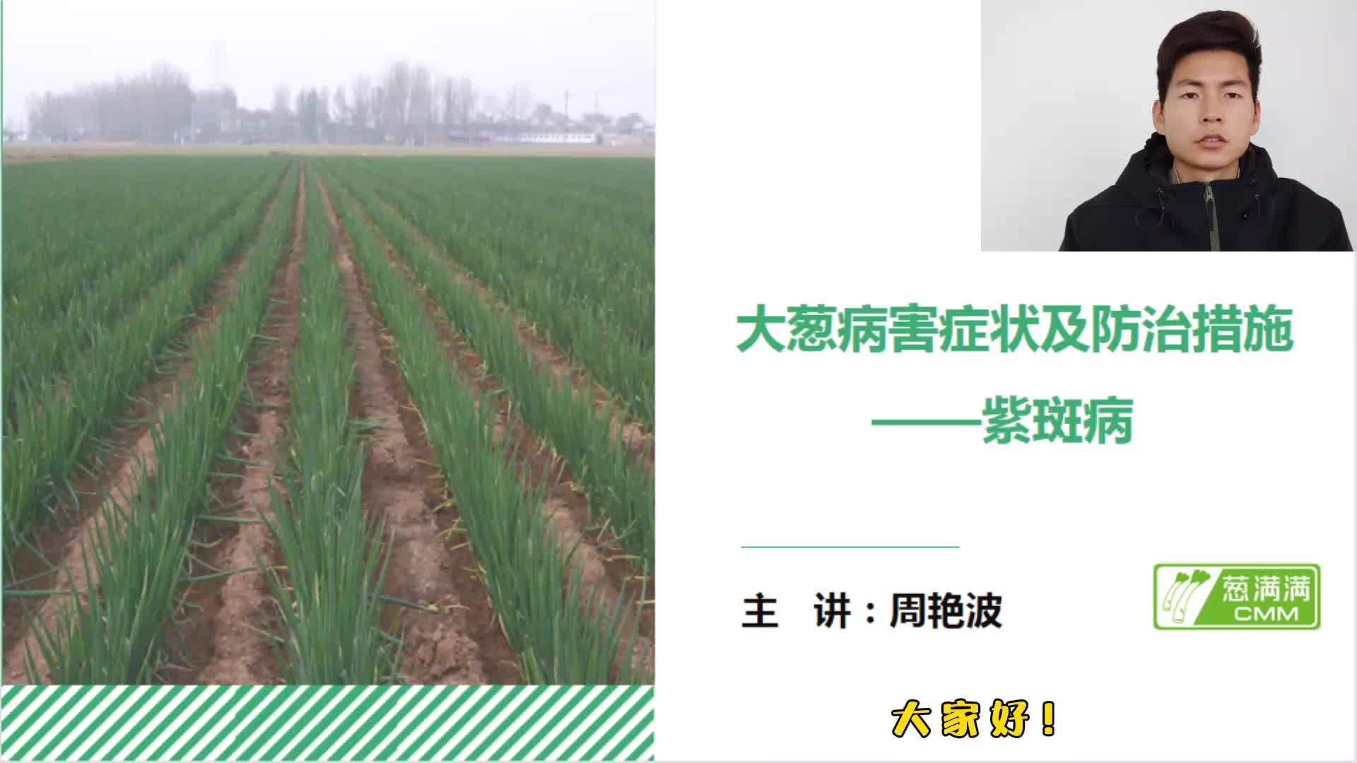 大葱病害防治——紫斑病