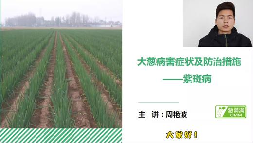 大葱病害防治——紫斑病 商品图0