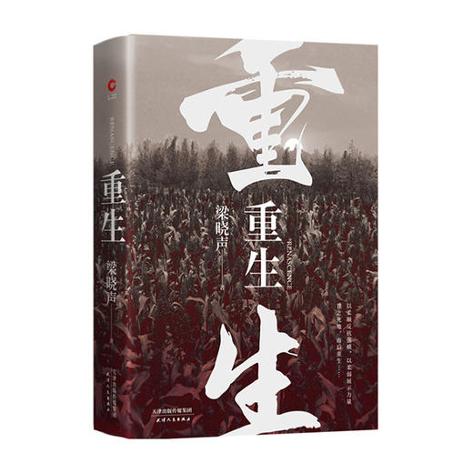 重生(精) 9787201157528 天津人民出版社 梁晓声(著) 商品图0
